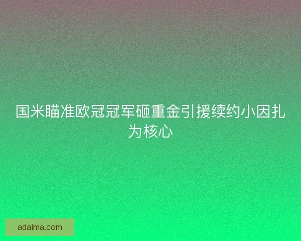 国米瞄准欧冠冠军砸重金引援续约小因扎为核心