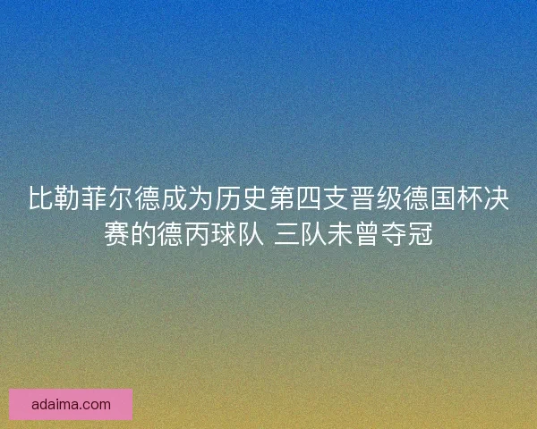 比勒菲尔德成为历史第四支晋级德国杯决赛的德丙球队 三队未曾夺冠