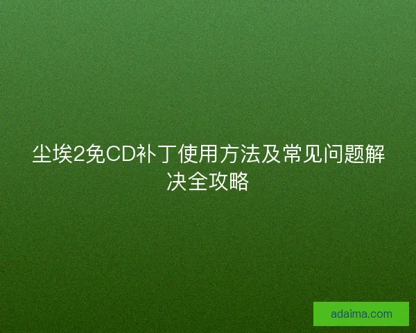 尘埃2免CD补丁使用方法及常见问题解决全攻略